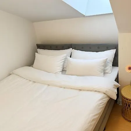 City Apartment Hjorring شقة فندقية *