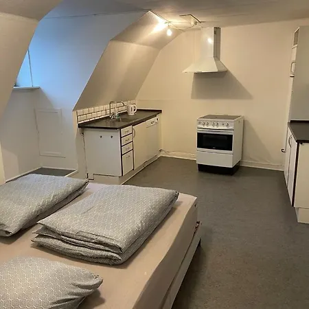 City Apartment Hjorring شقة فندقية *